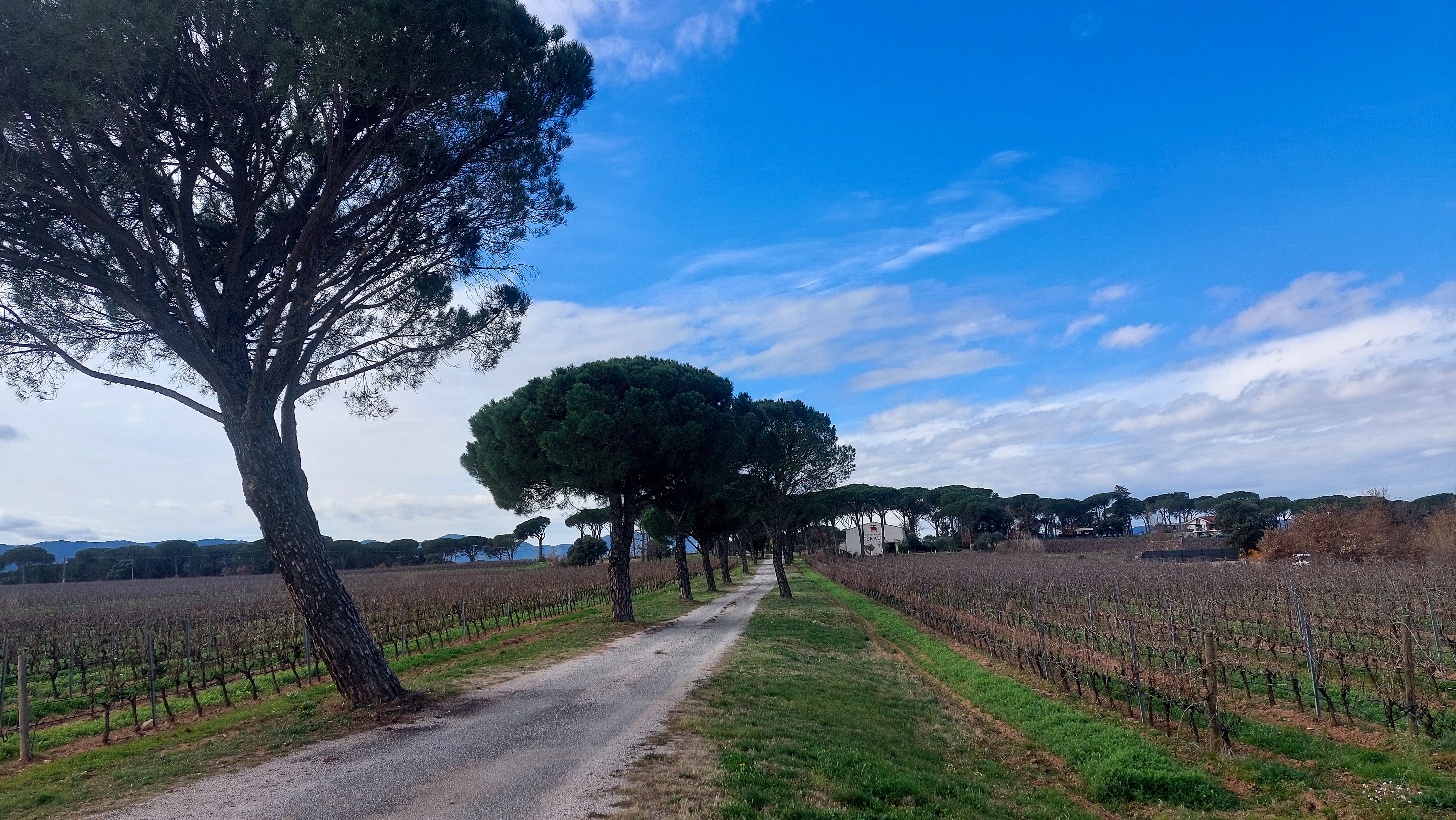 Fahrt zur Domaine des Féraud